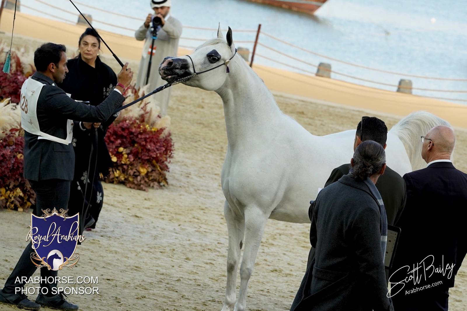 2024 KATARA SHOW - DAY 3