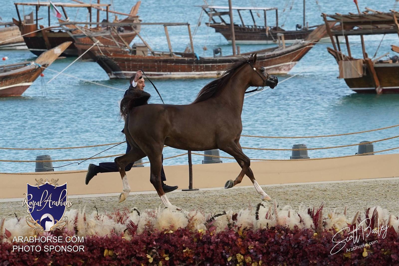 2024 KATARA SHOW - DAY 3