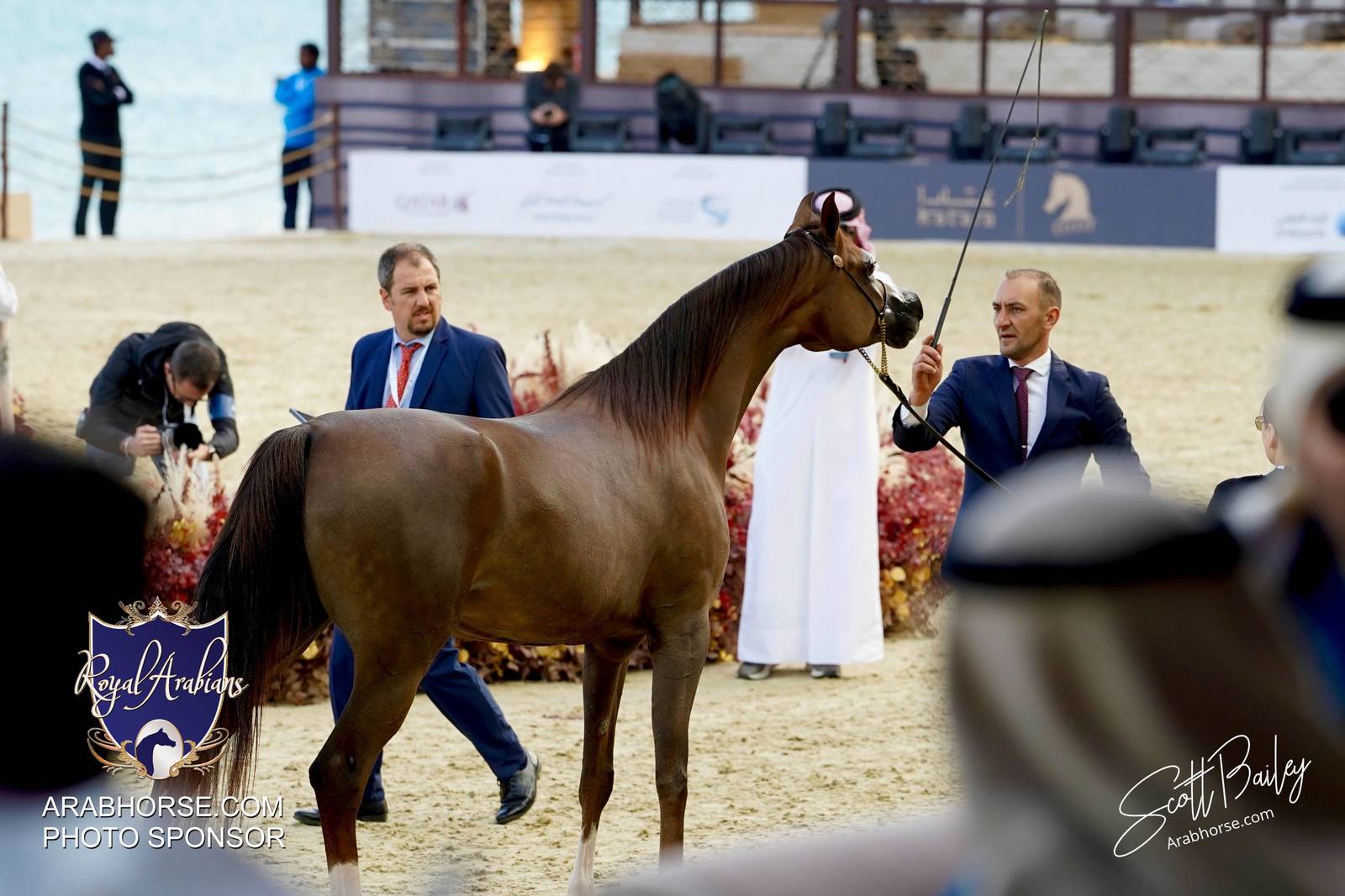 2024 KATARA SHOW - DAY 3