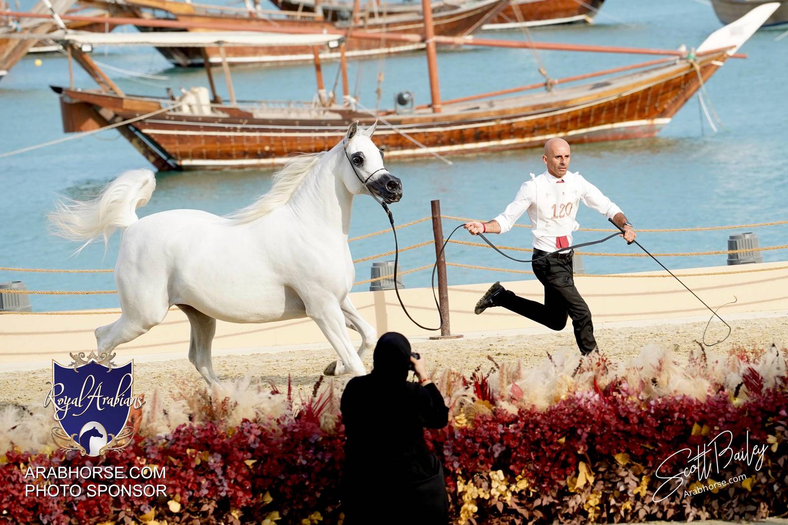 2024 KATARA SHOW - DAY 3