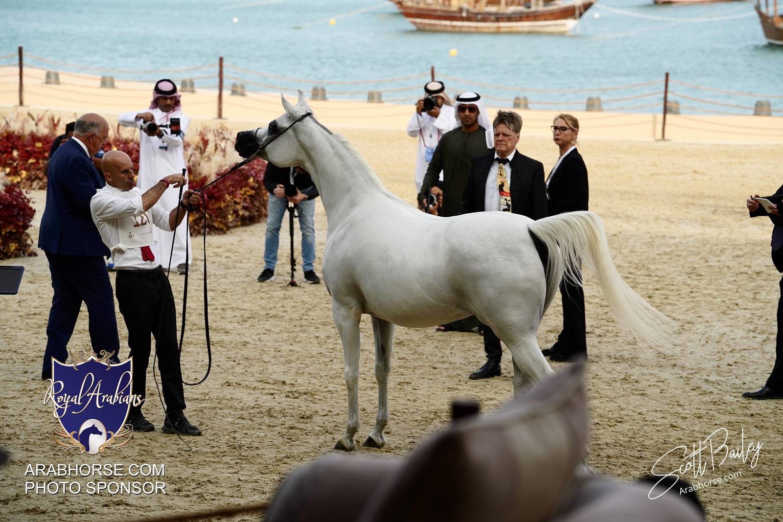 2024 KATARA SHOW - DAY 3