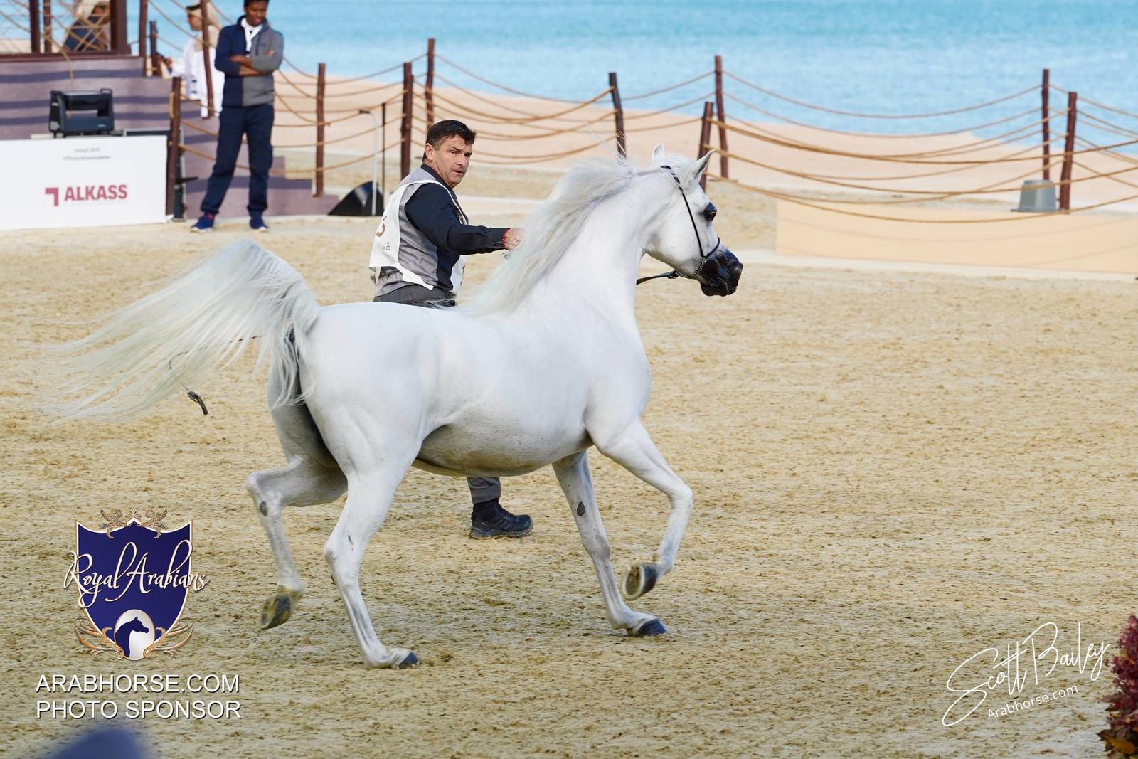 2024 KATARA SHOW - DAY 3