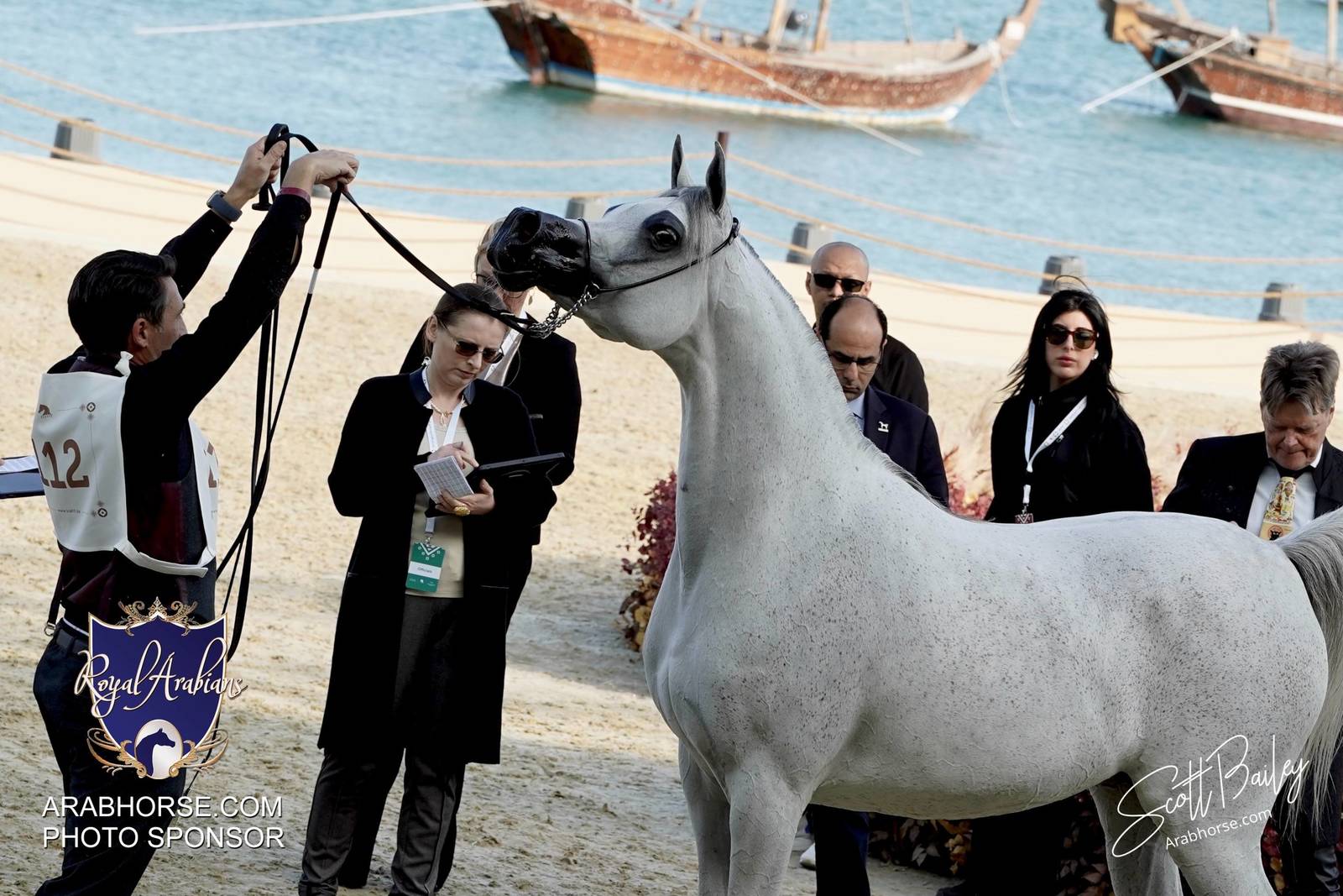 2024 KATARA SHOW - DAY 3