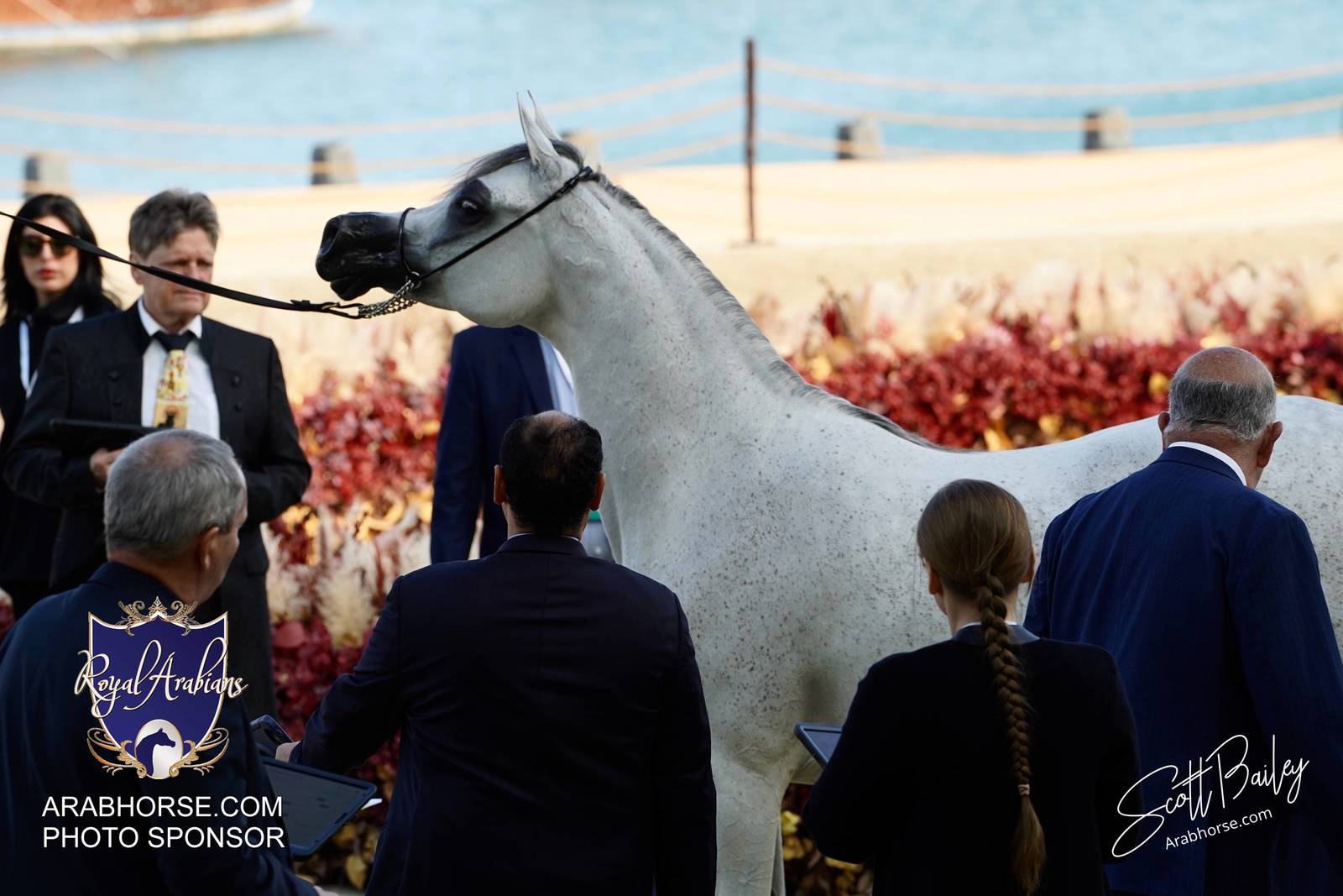 2024 KATARA SHOW - DAY 3