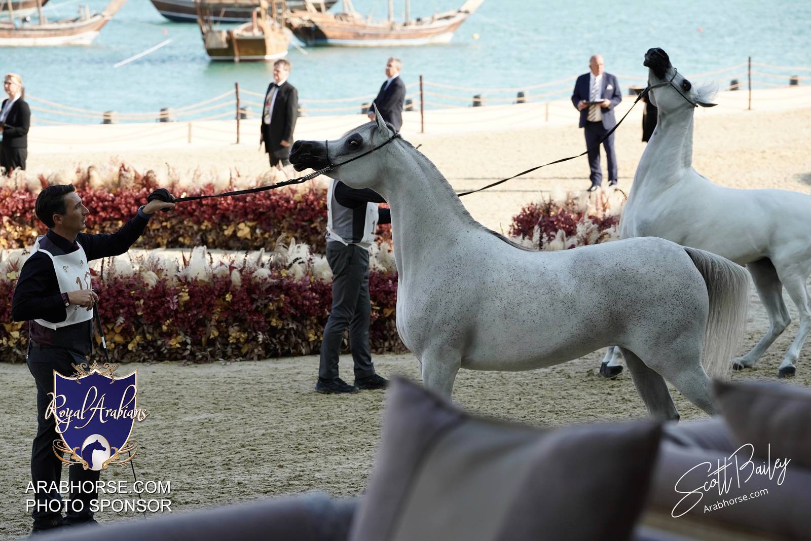 2024 KATARA SHOW - DAY 3