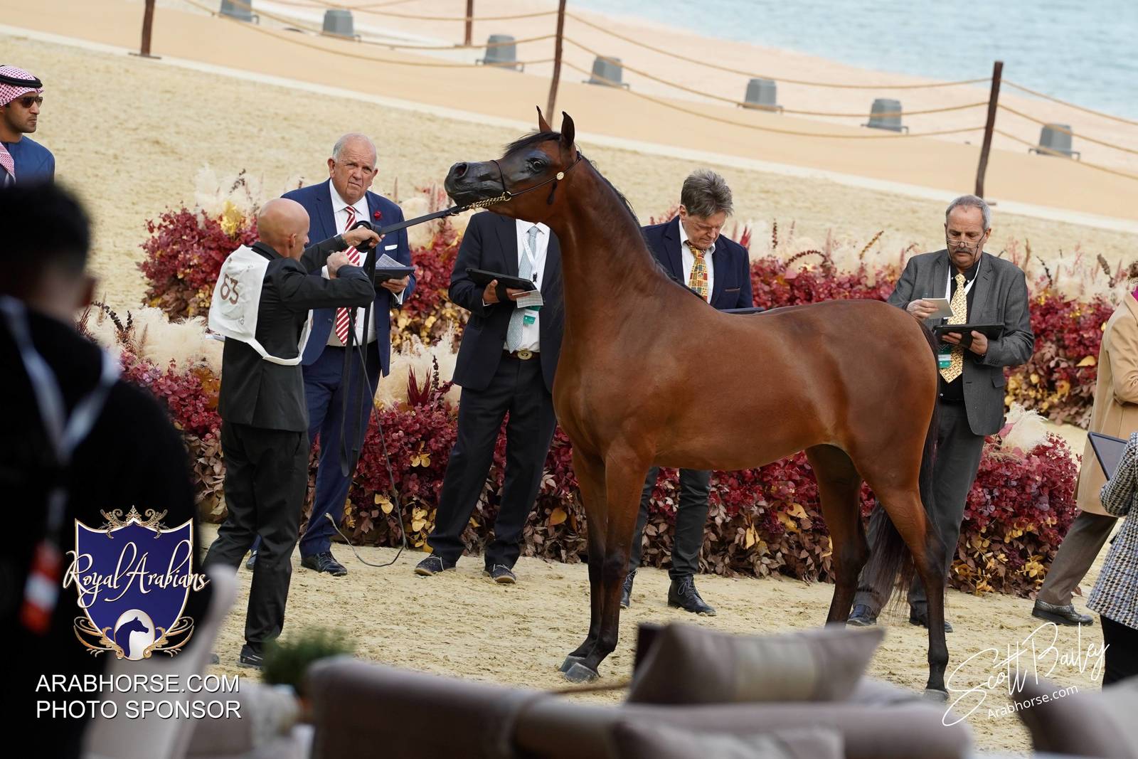 Atmosphere photos from the 2024 @kiahfqa show