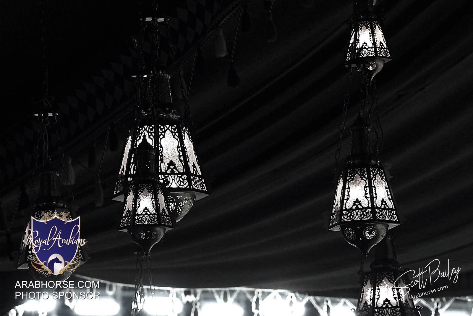 Atmosphere photos from the 2024 @kiahfqa show