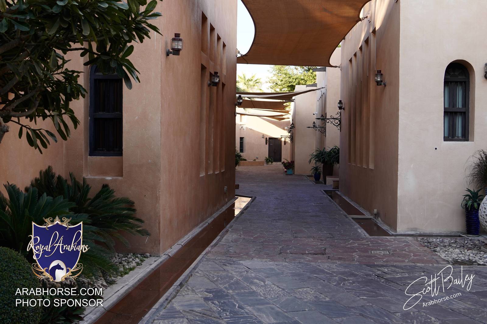 Atmosphere photos from the 2024 @kiahfqa show