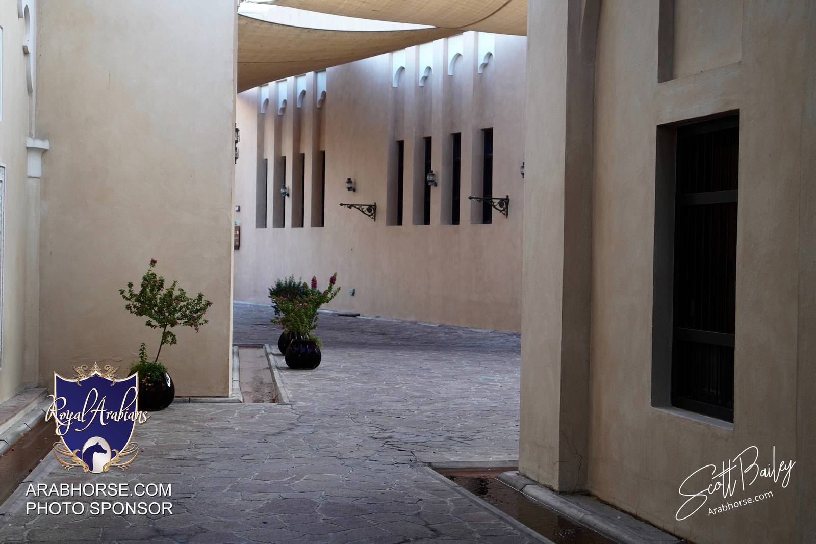 Atmosphere photos from the 2024 @kiahfqa show