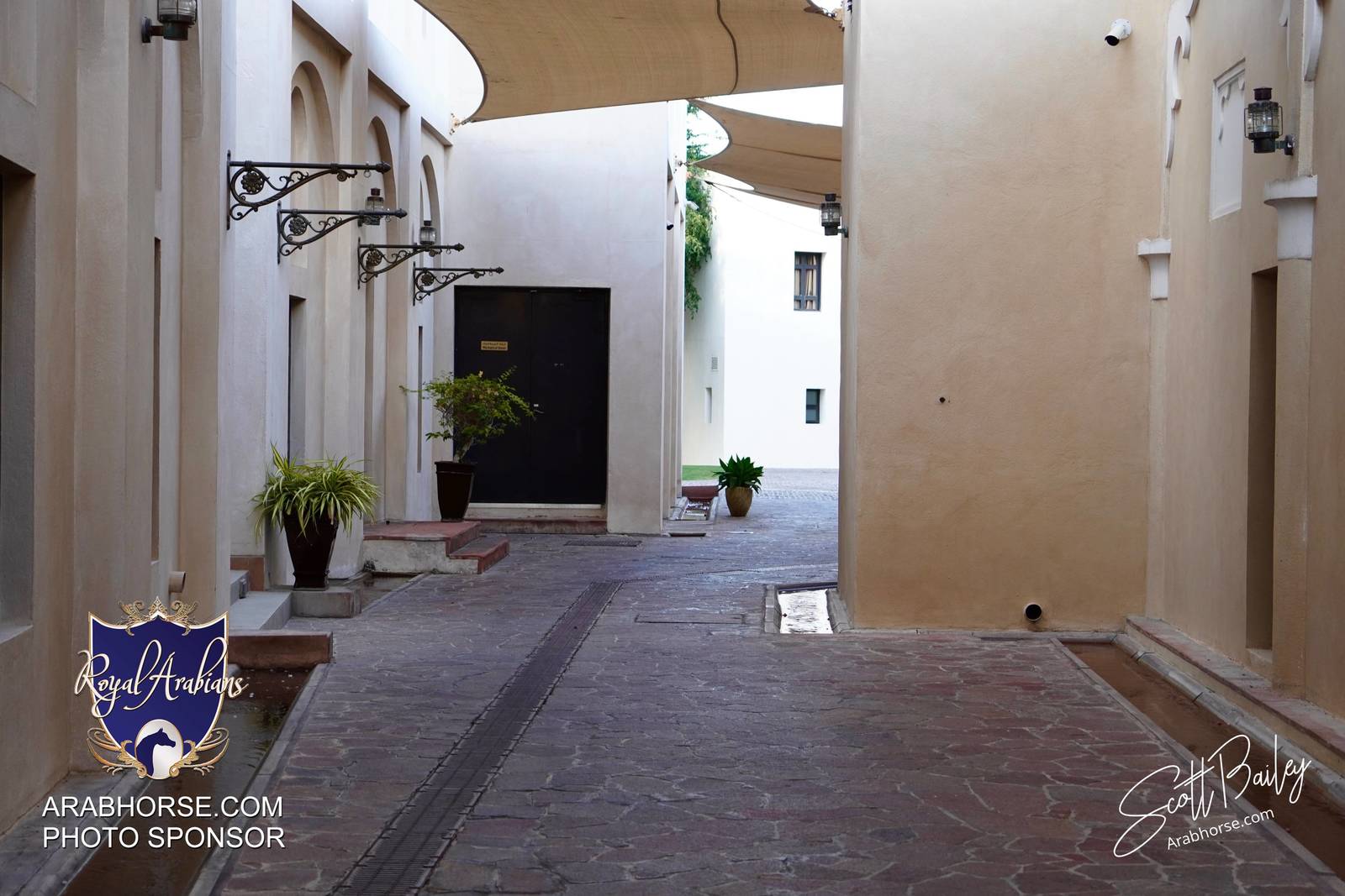 Atmosphere photos from the 2024 @kiahfqa show