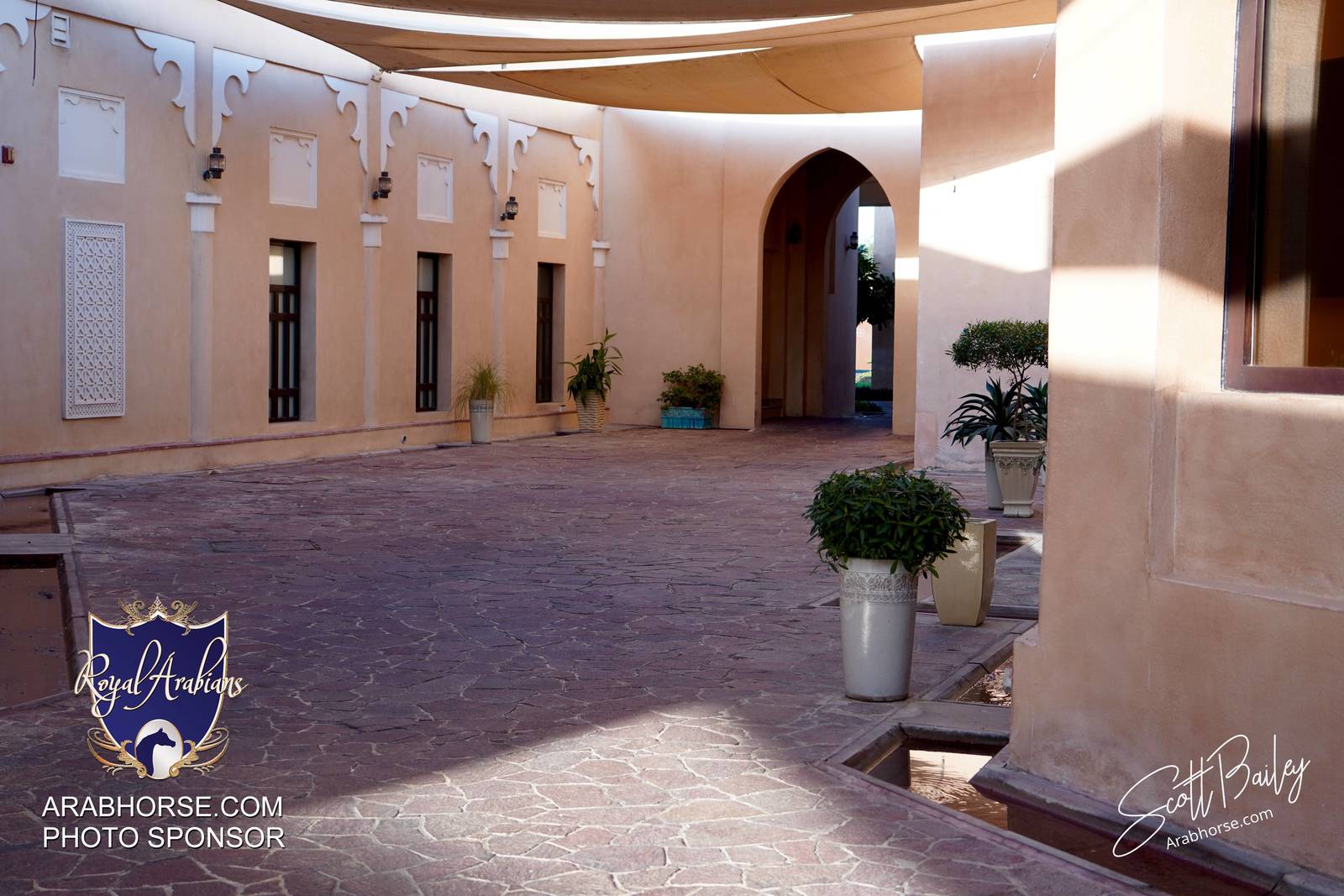 Atmosphere photos from the 2024 @kiahfqa show