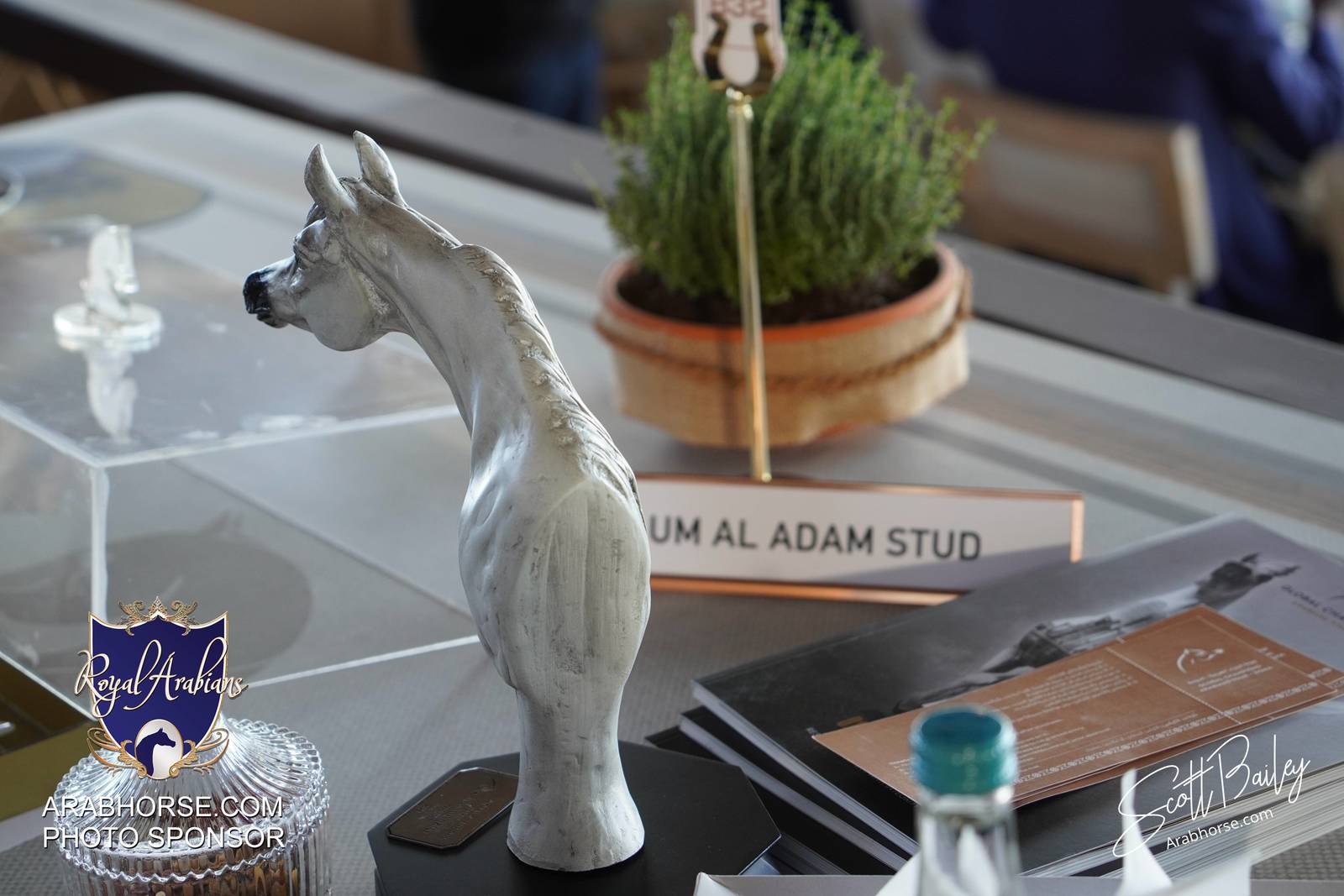 Atmosphere photos from the 2024 @kiahfqa show