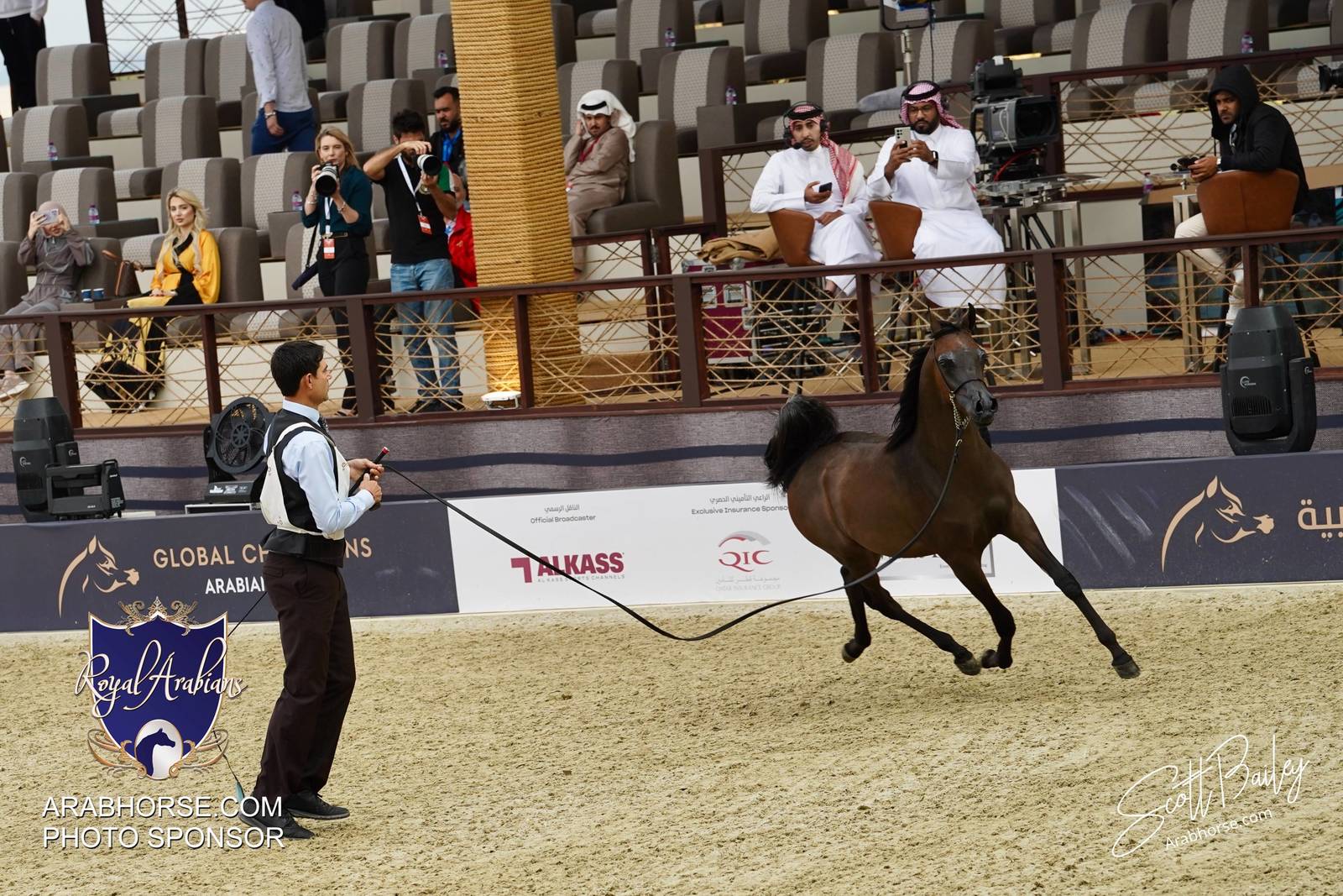 2024 KATARA SHOW - CHAMPIONSHIPS!