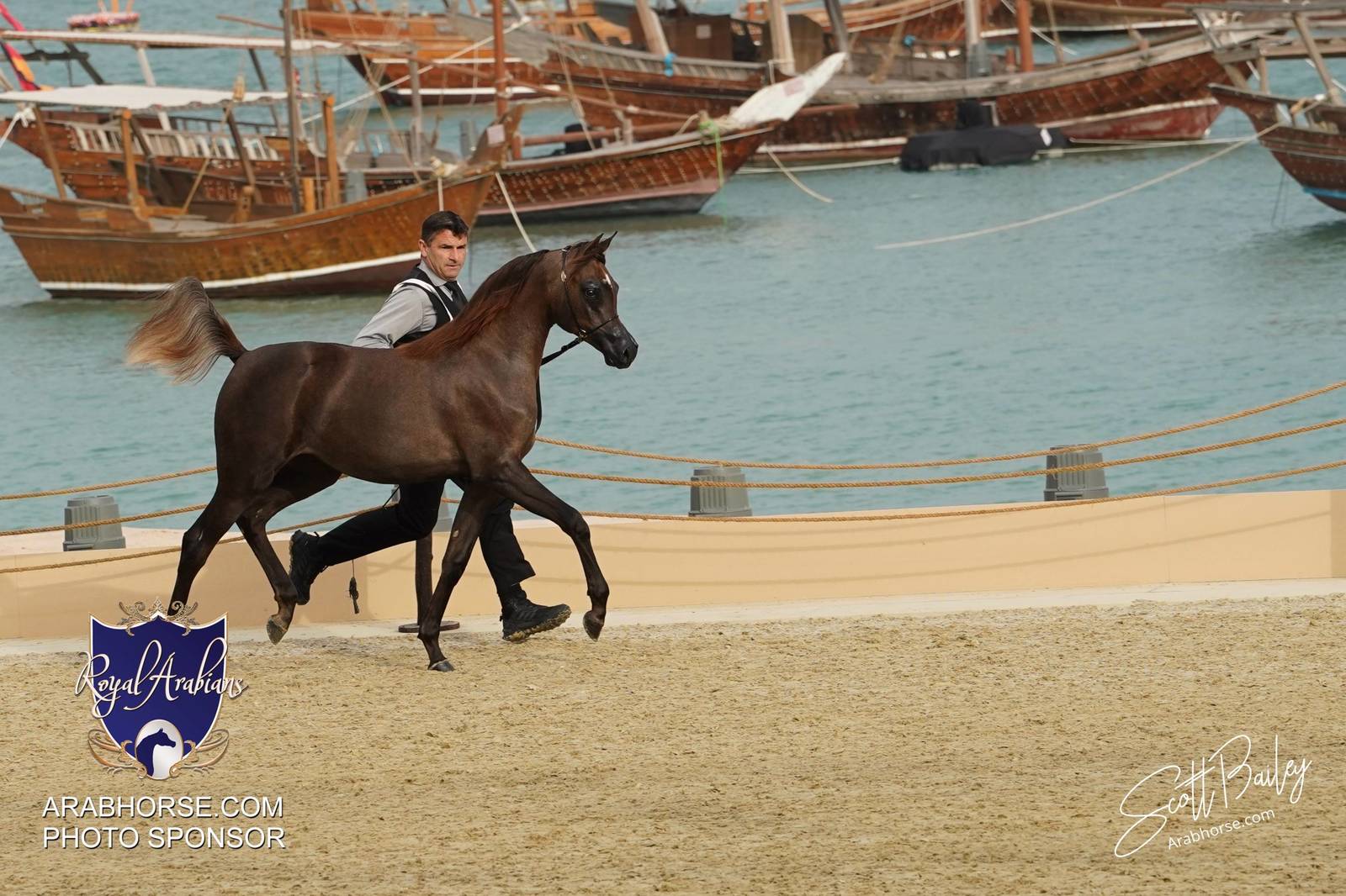 2024 KATARA SHOW - CHAMPIONSHIPS!