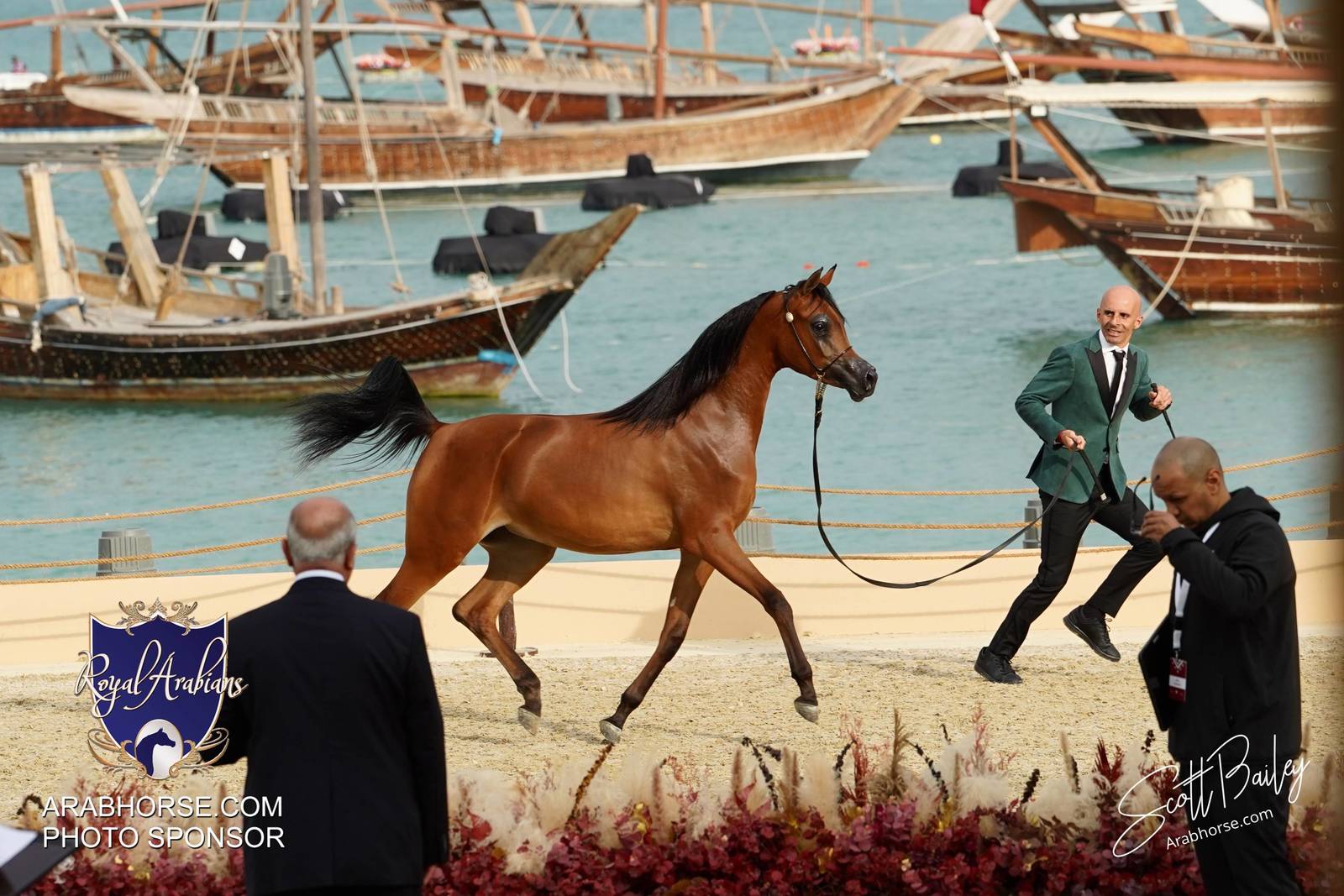 2024 KATARA SHOW - CHAMPIONSHIPS!