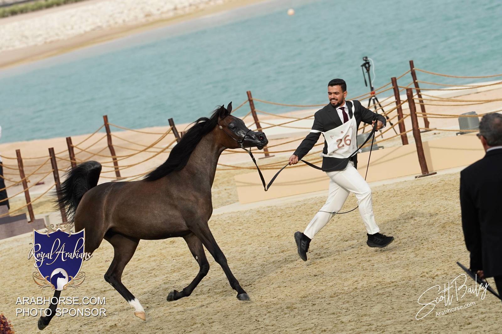 2024 KATARA SHOW - CHAMPIONSHIPS!