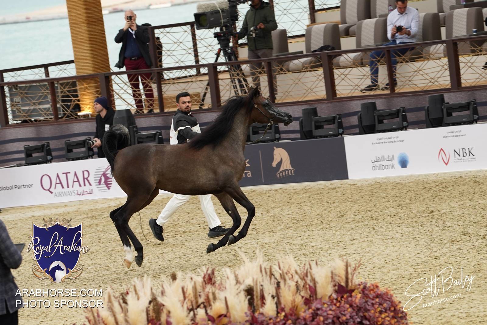 2024 KATARA SHOW - CHAMPIONSHIPS!