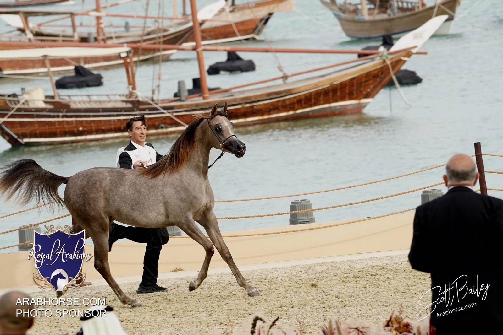 2024 KATARA SHOW - CHAMPIONSHIPS!