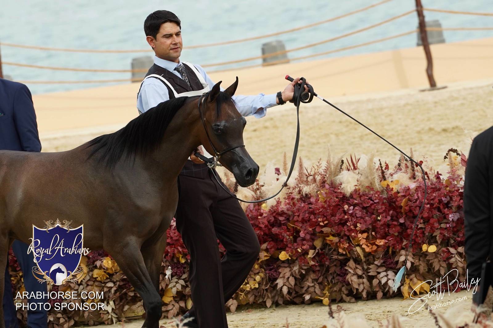 2024 KATARA SHOW - CHAMPIONSHIPS!