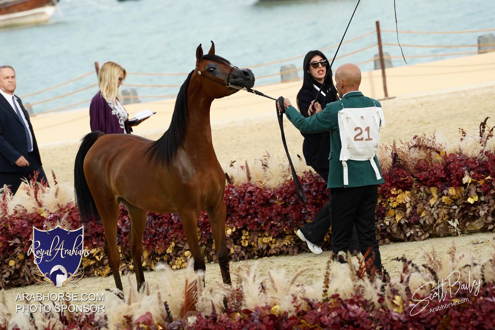 2024 KATARA SHOW - CHAMPIONSHIPS!