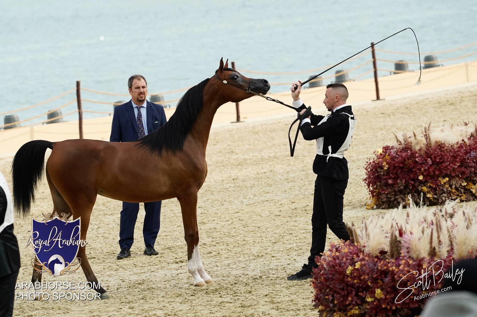 2024 KATARA SHOW - CHAMPIONSHIPS!