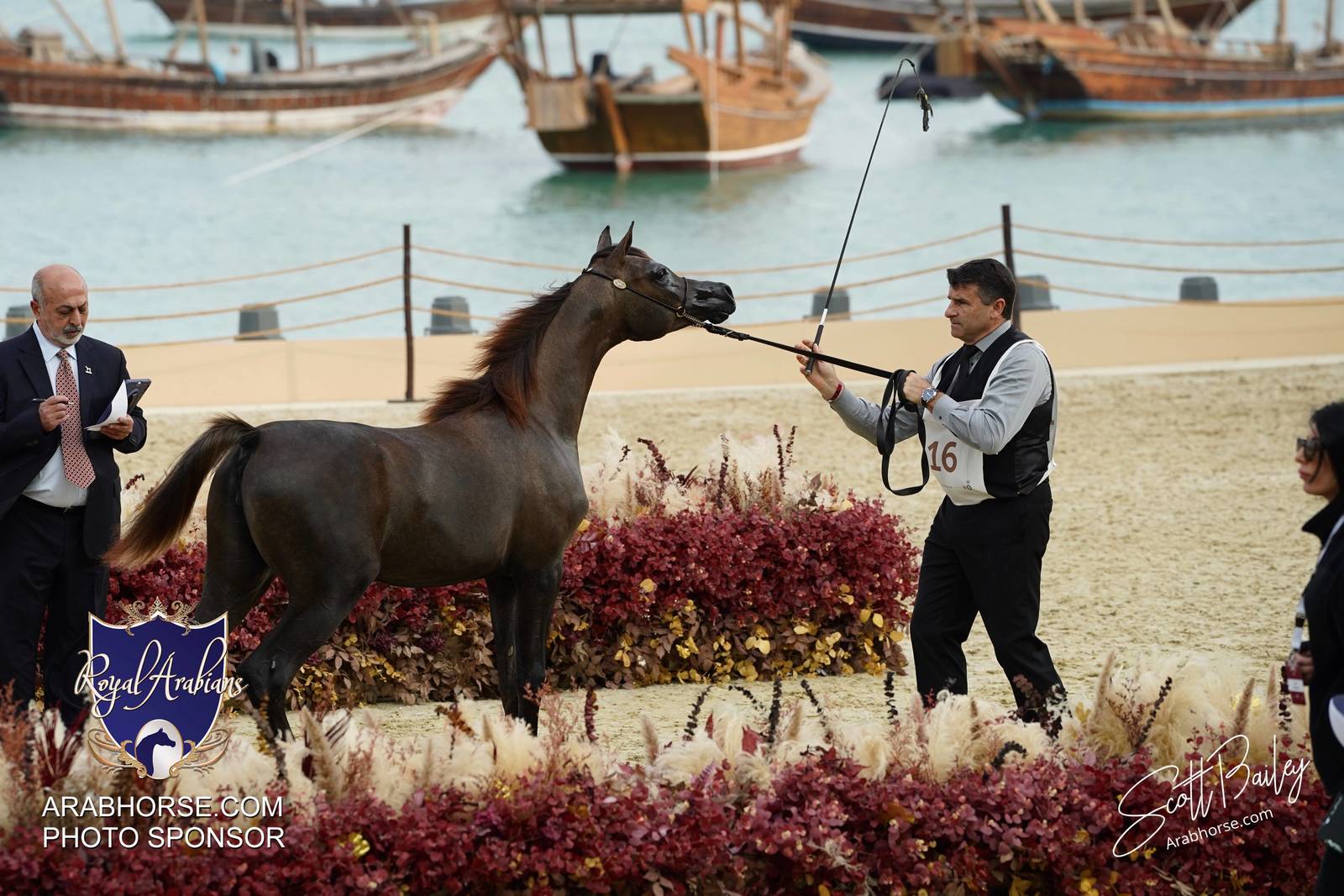 2024 KATARA SHOW - CHAMPIONSHIPS!