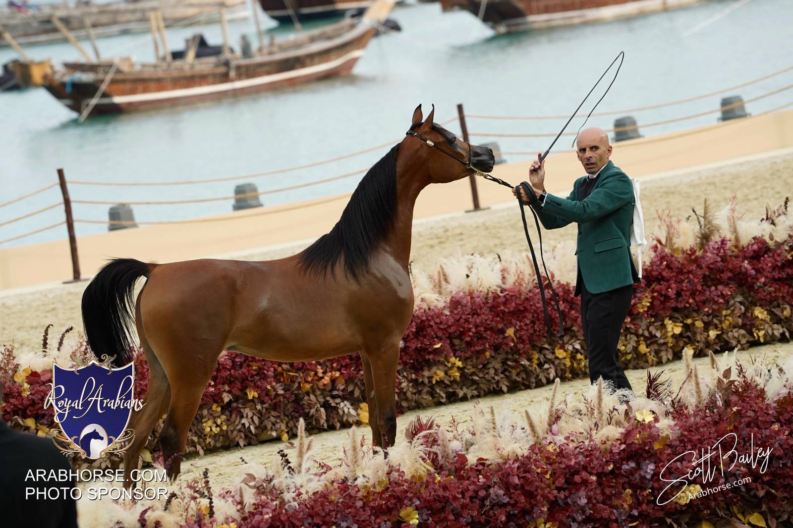 2024 KATARA SHOW - CHAMPIONSHIPS!