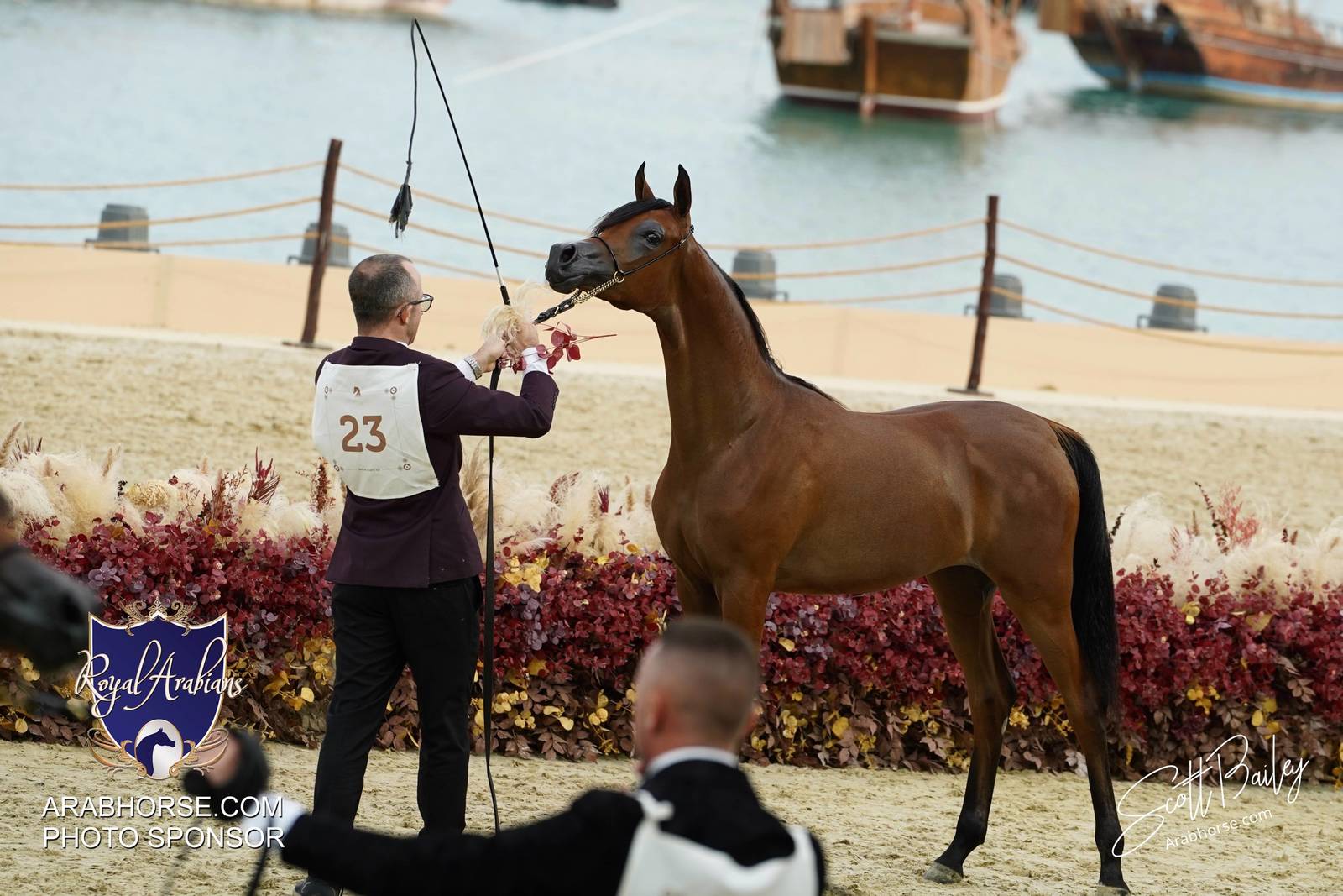 2024 KATARA SHOW - CHAMPIONSHIPS!