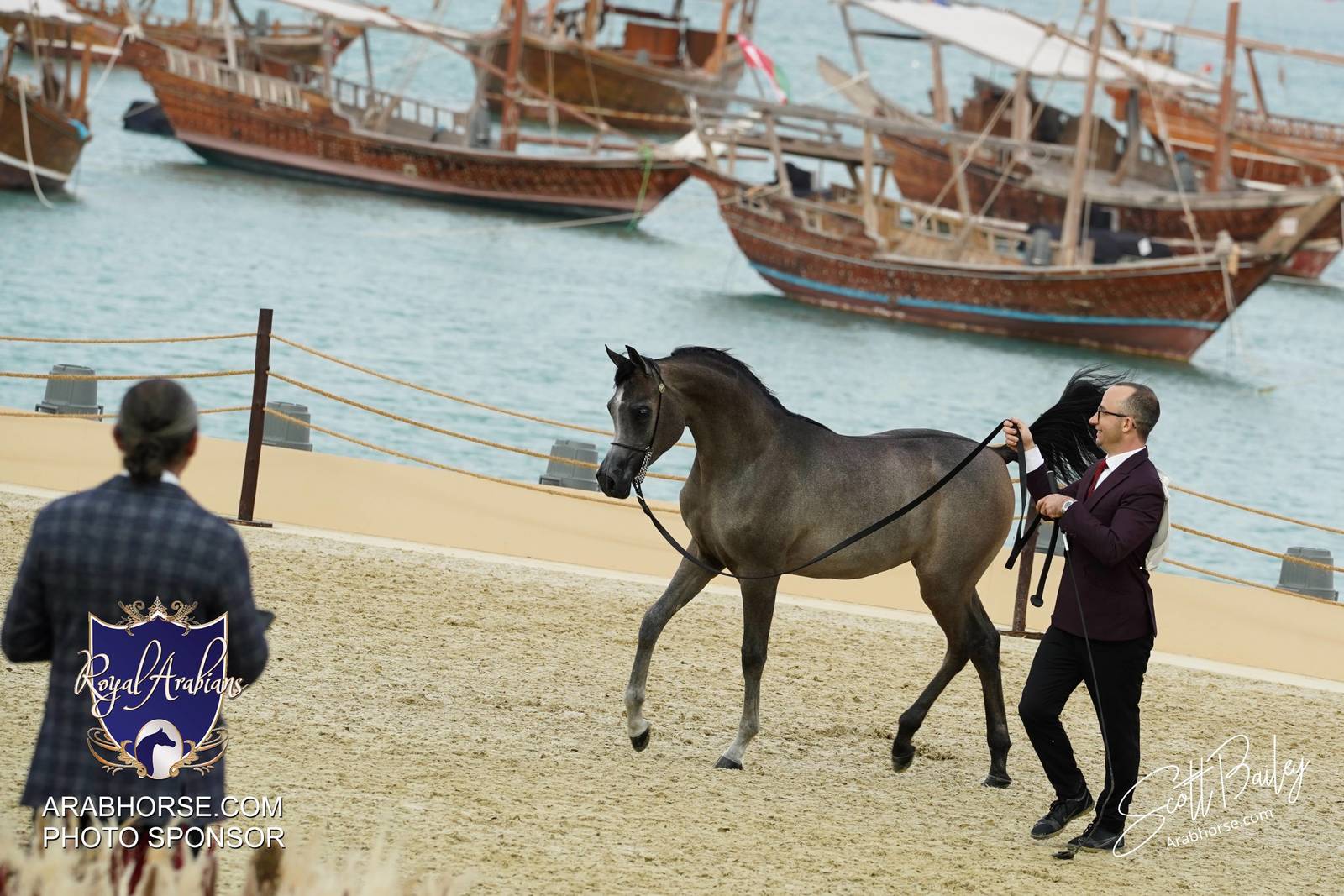 2024 KATARA SHOW - CHAMPIONSHIPS!