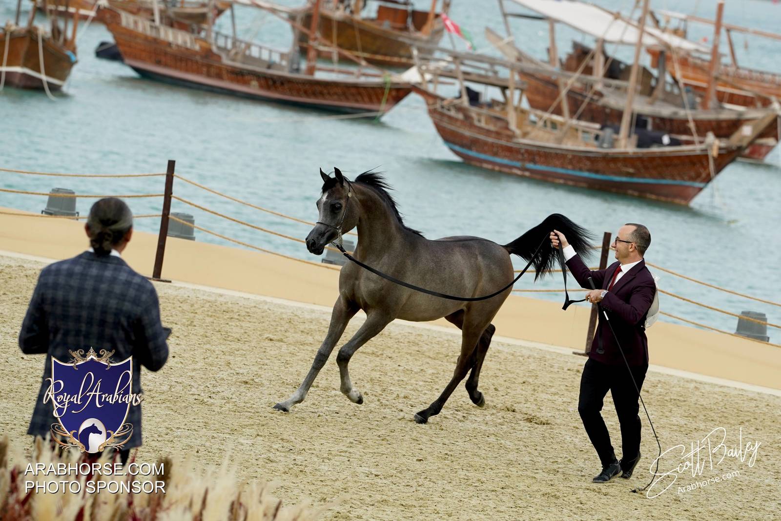 2024 KATARA SHOW - CHAMPIONSHIPS!