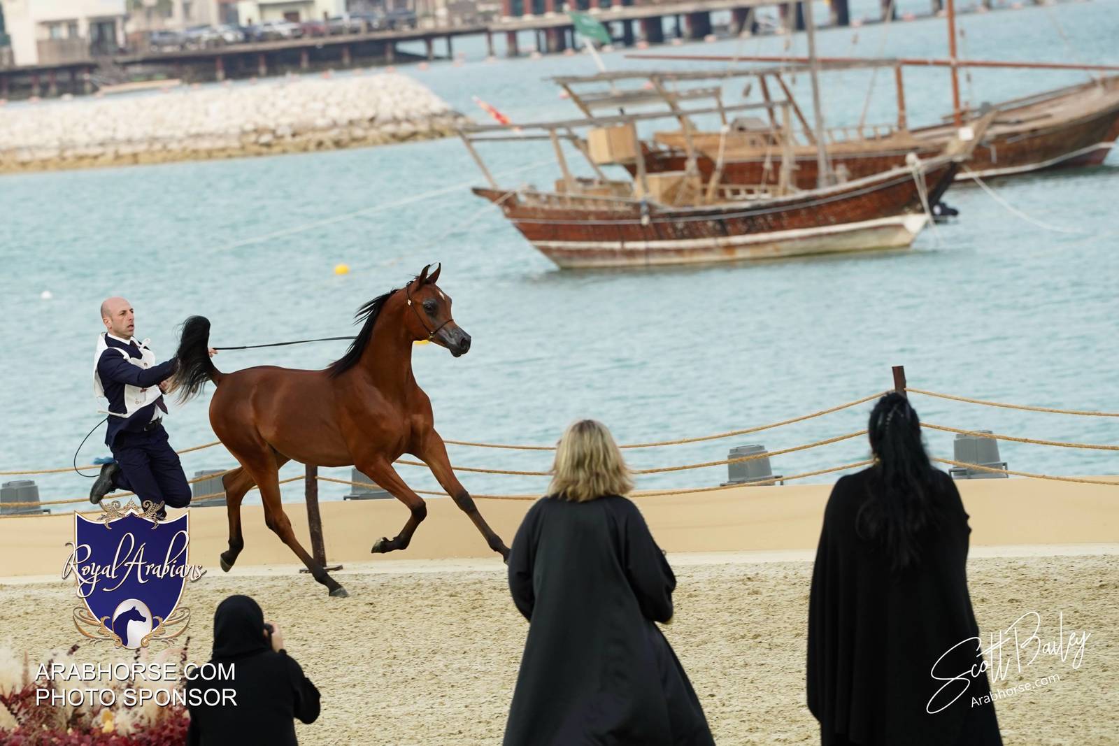 2024 KATARA SHOW - CHAMPIONSHIPS!