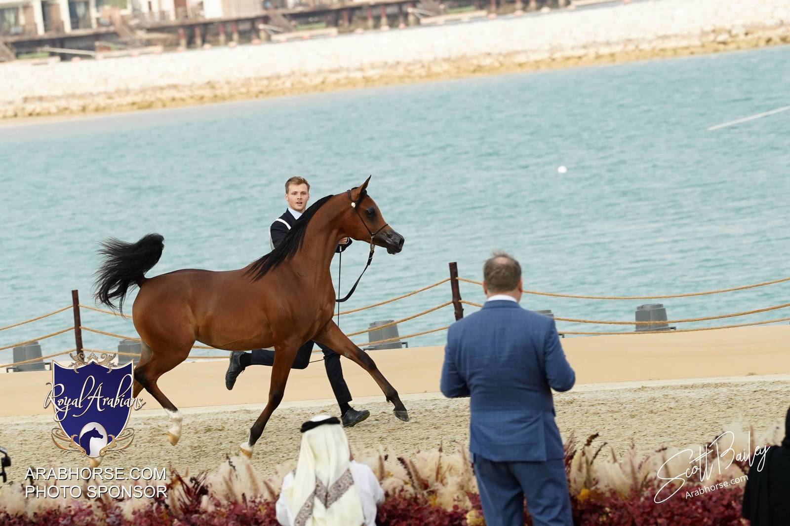 2024 KATARA SHOW - CHAMPIONSHIPS!