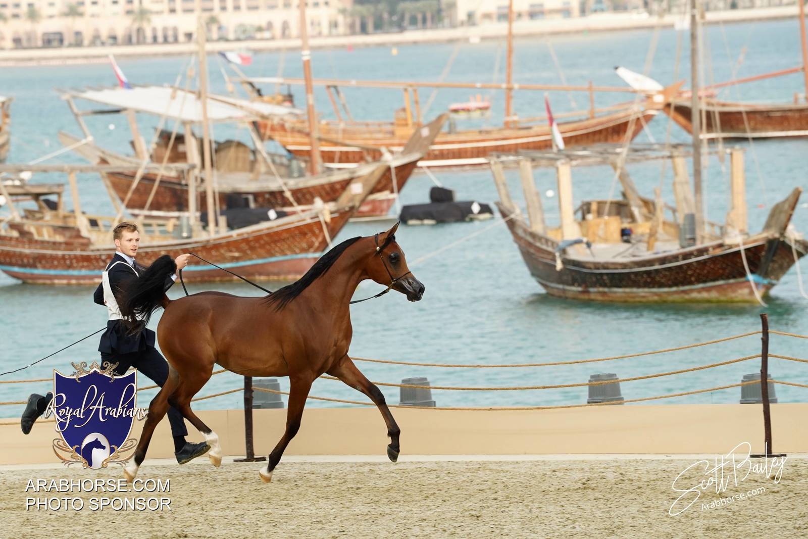 2024 KATARA SHOW - CHAMPIONSHIPS!