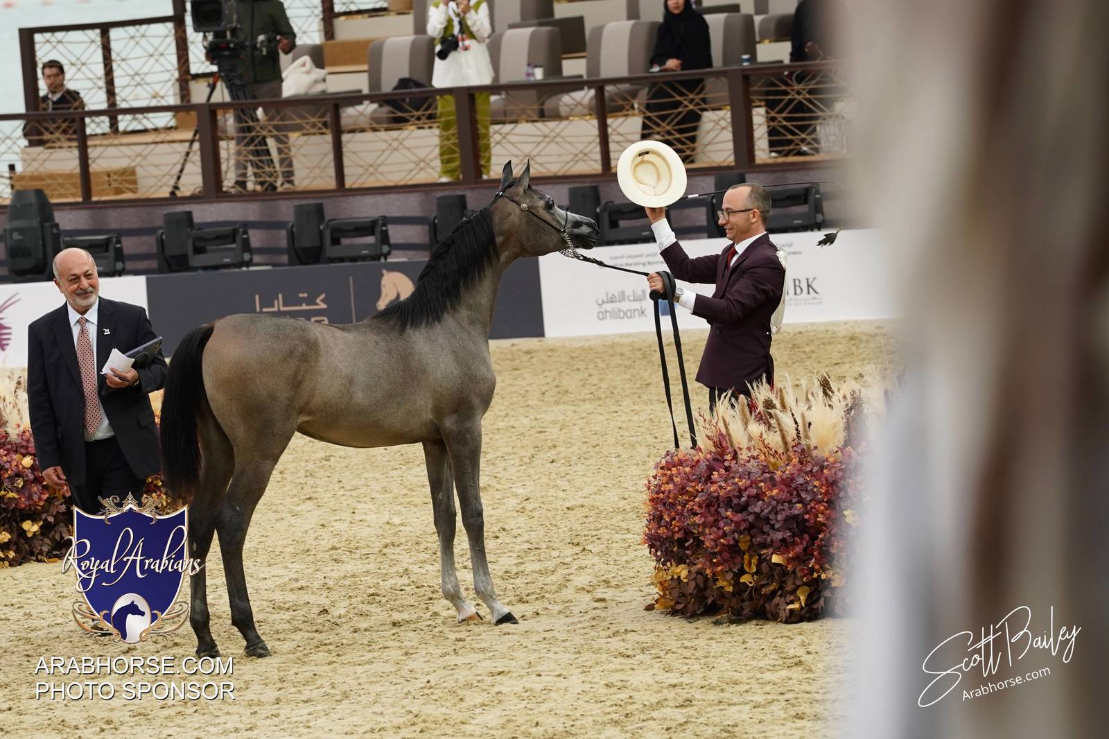 2024 KATARA SHOW - CHAMPIONSHIPS!