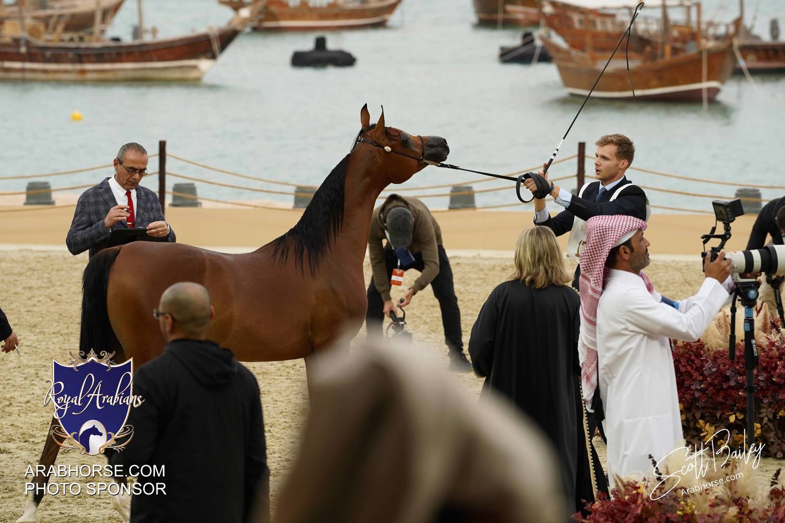 2024 KATARA SHOW - CHAMPIONSHIPS!