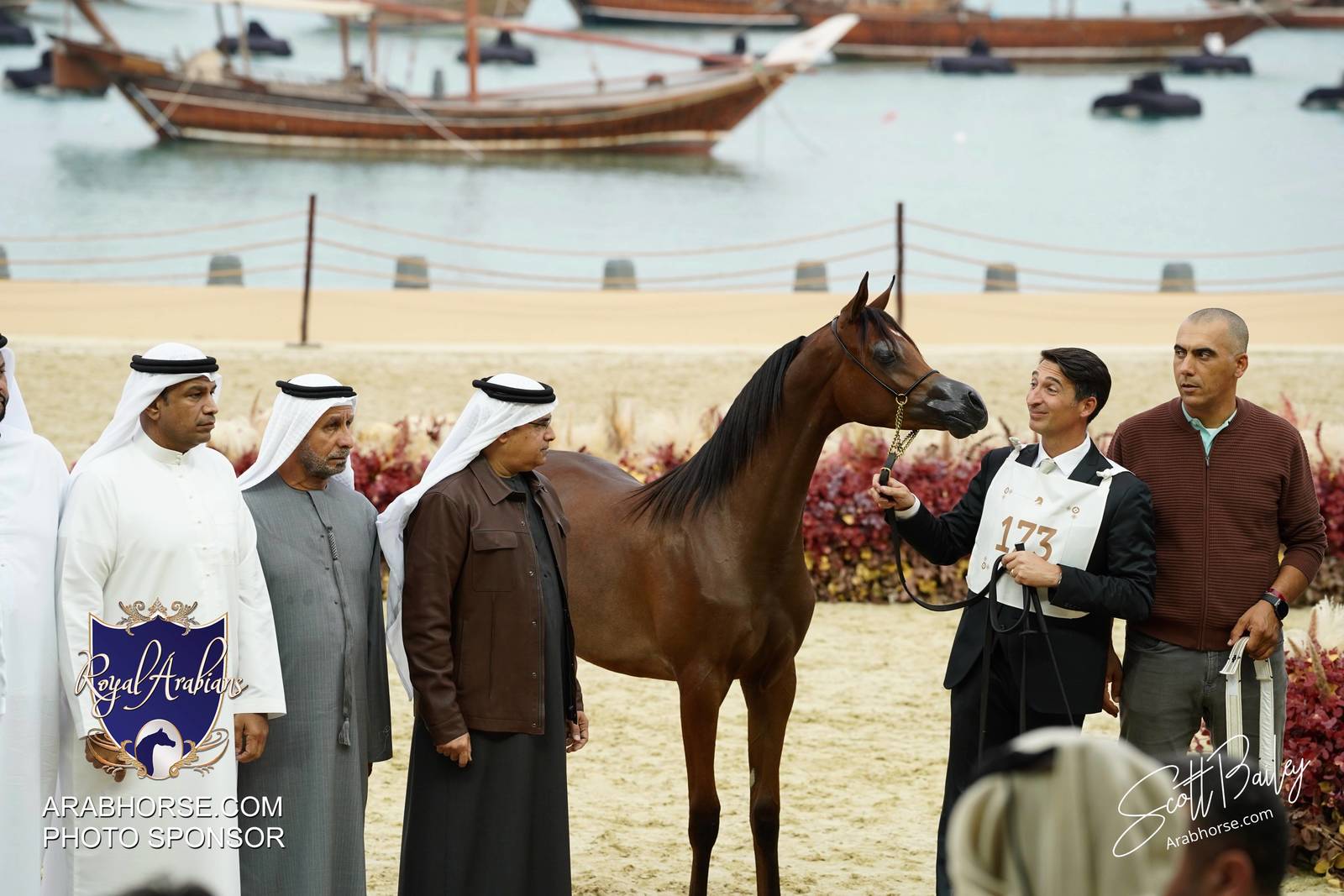 2024 KATARA SHOW - CHAMPIONSHIPS!