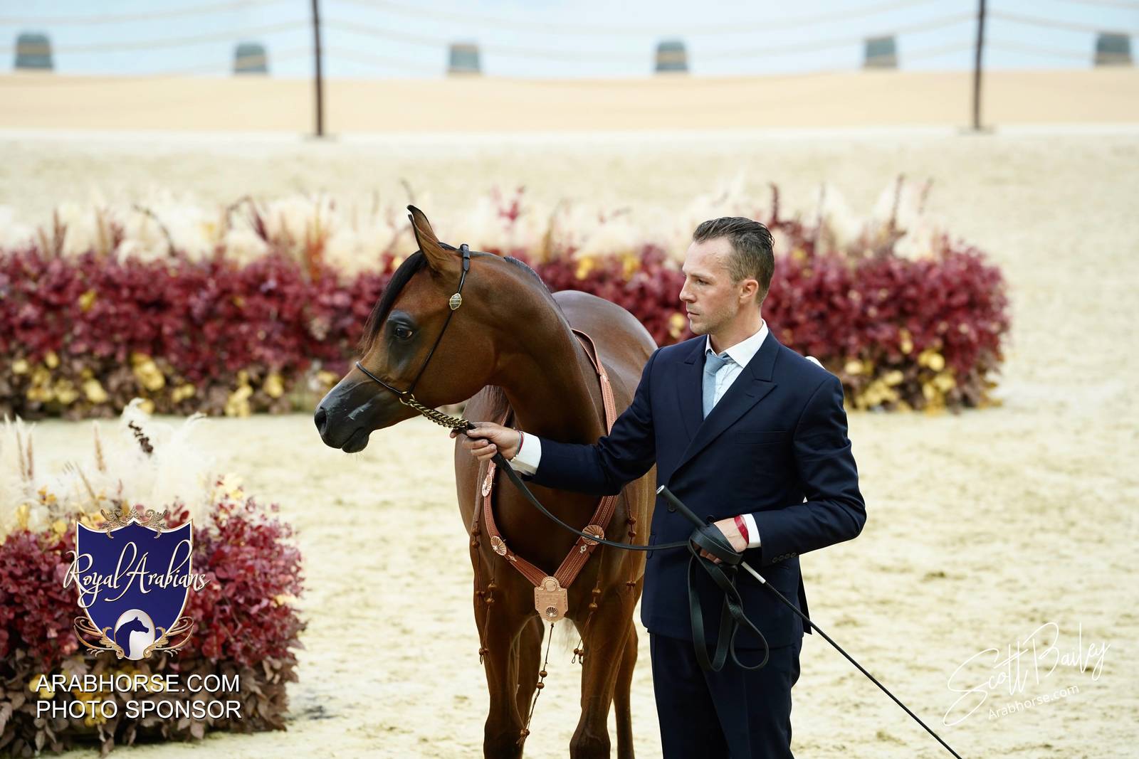 2024 KATARA SHOW - CHAMPIONSHIPS!