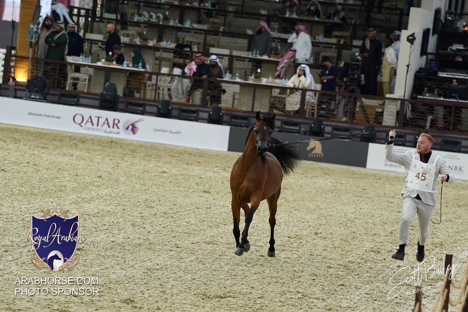 2024 KATARA SHOW - CHAMPIONSHIPS!