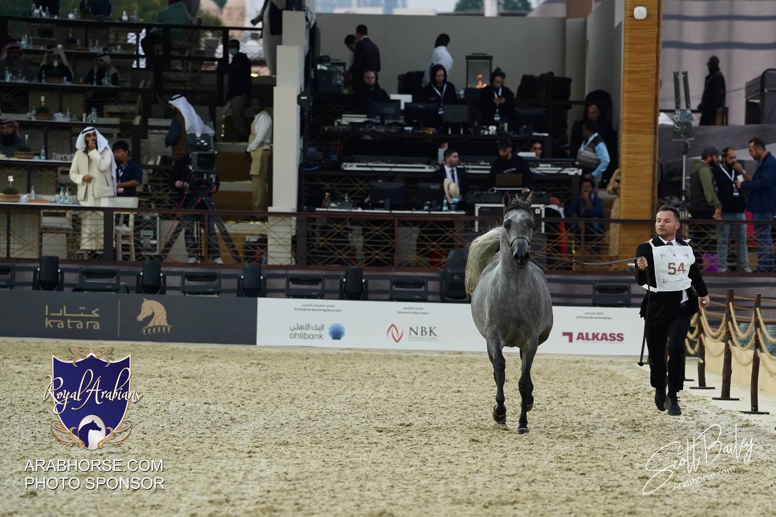 2024 KATARA SHOW - CHAMPIONSHIPS!