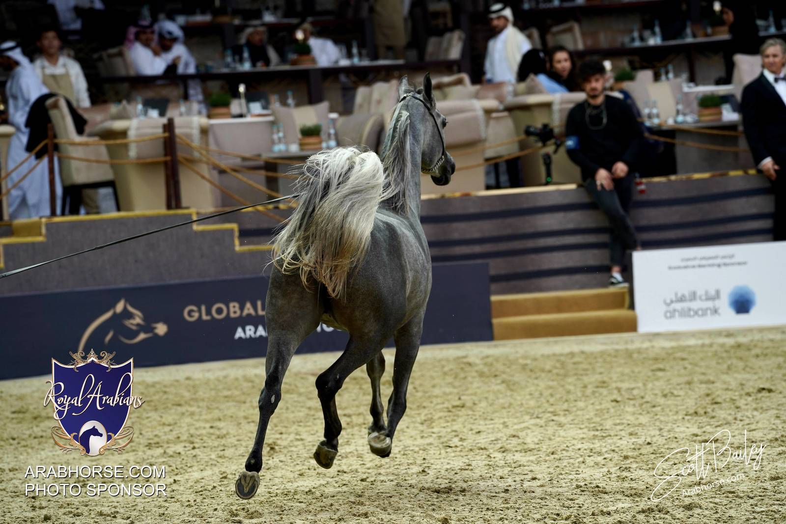 2024 KATARA SHOW - CHAMPIONSHIPS!