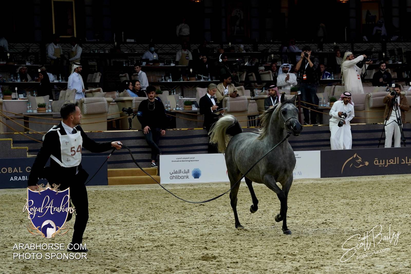 2024 KATARA SHOW - CHAMPIONSHIPS!