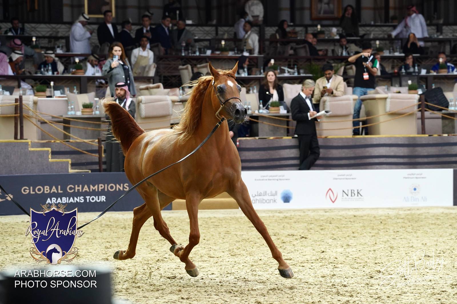 2024 KATARA SHOW - CHAMPIONSHIPS!