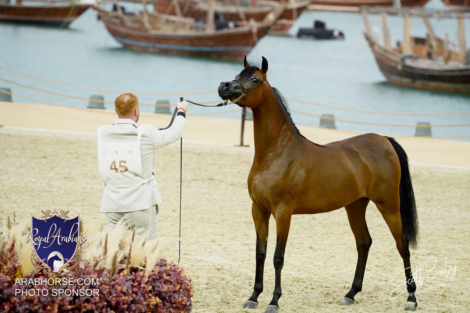 2024 KATARA SHOW - CHAMPIONSHIPS!