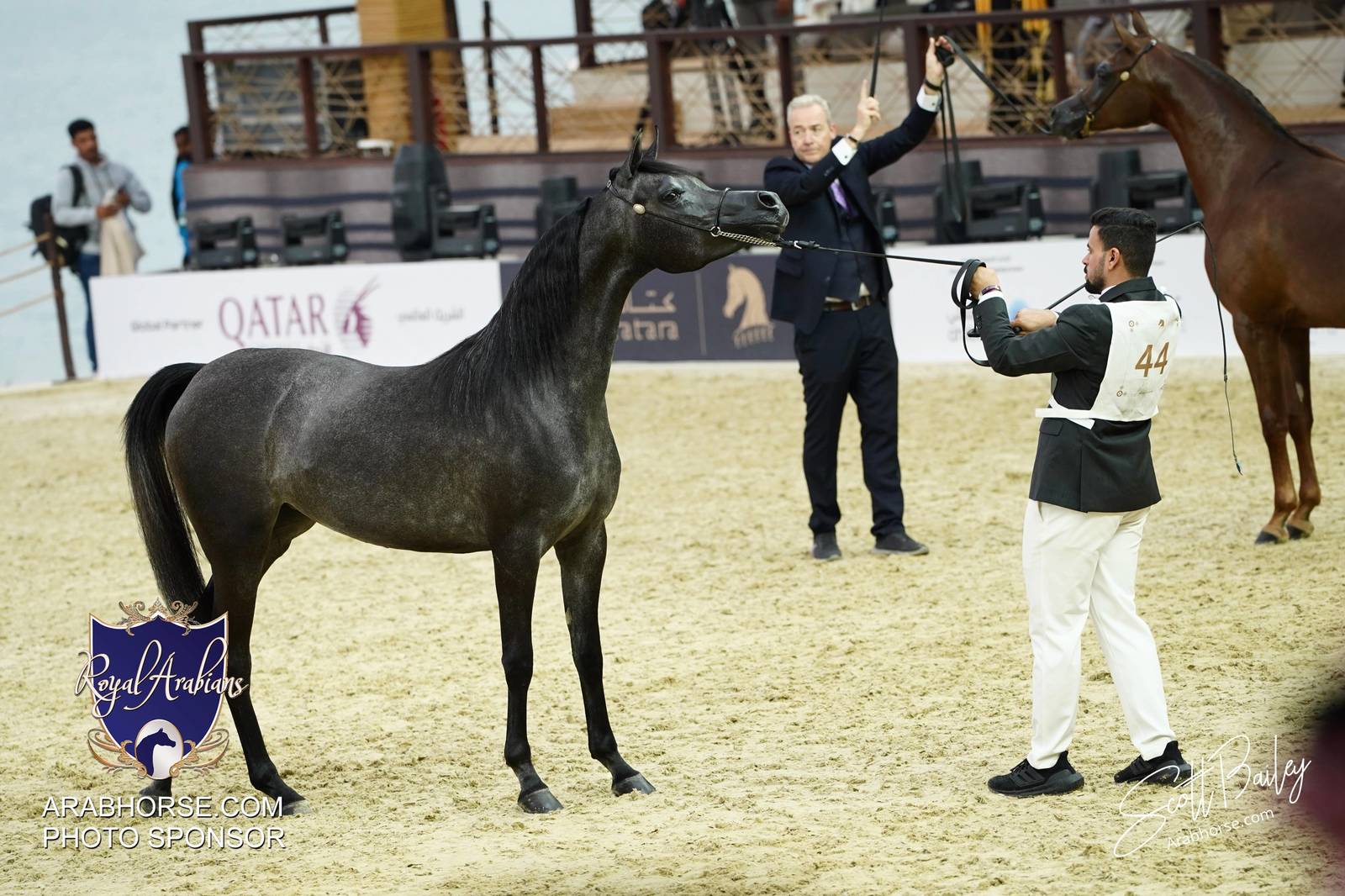 2024 KATARA SHOW - CHAMPIONSHIPS!