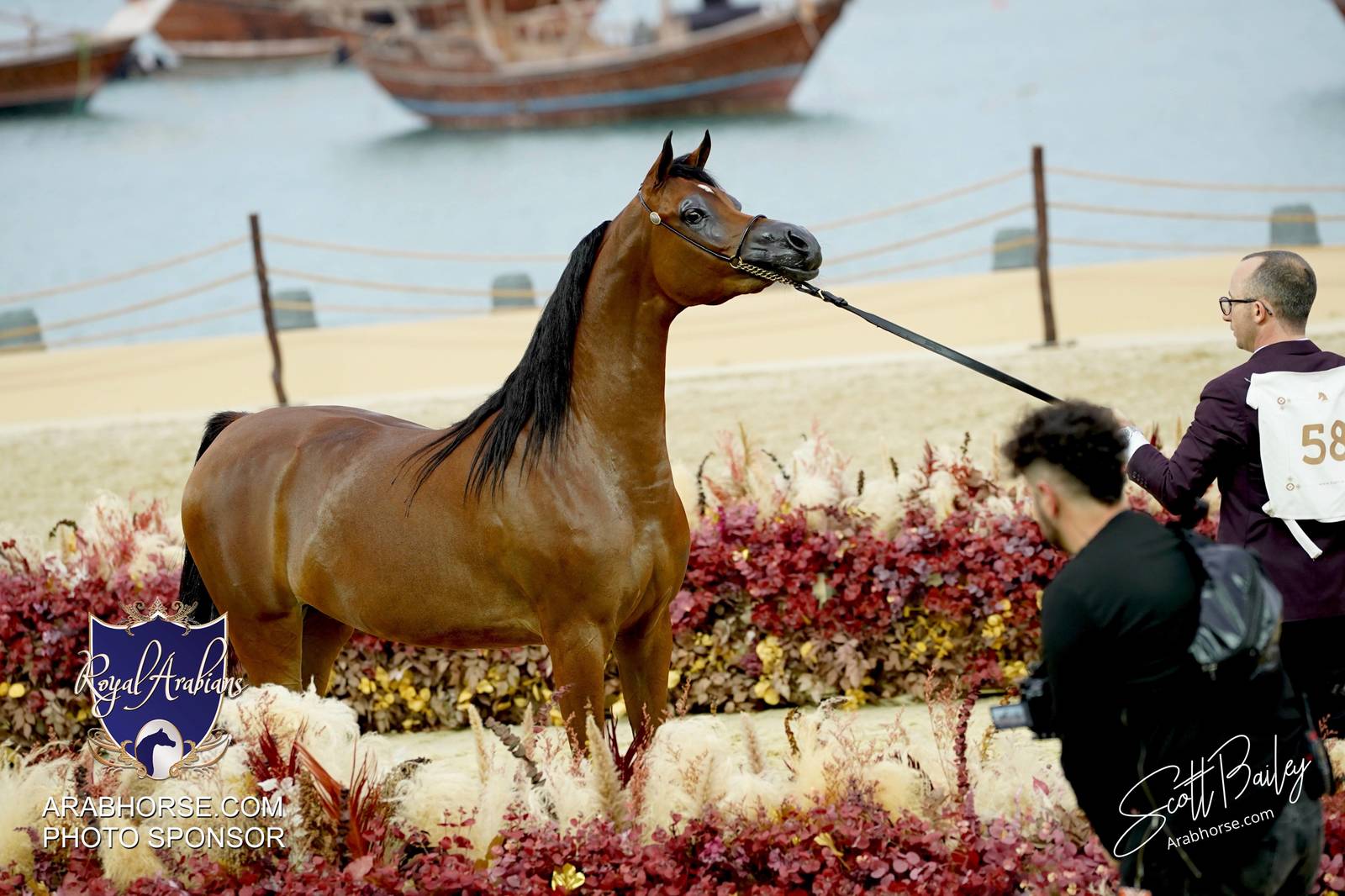 2024 KATARA SHOW - CHAMPIONSHIPS!