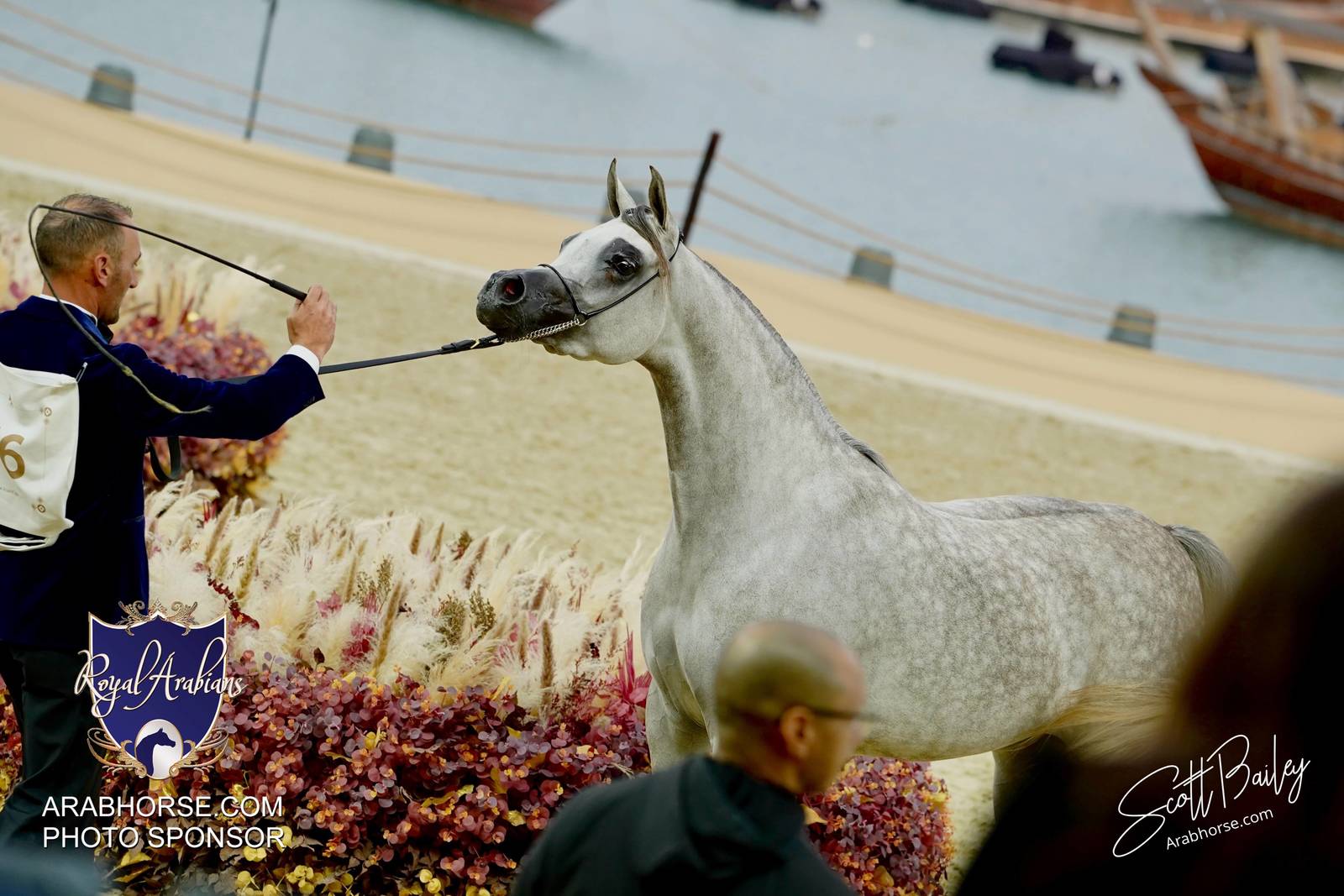 2024 KATARA SHOW - CHAMPIONSHIPS!