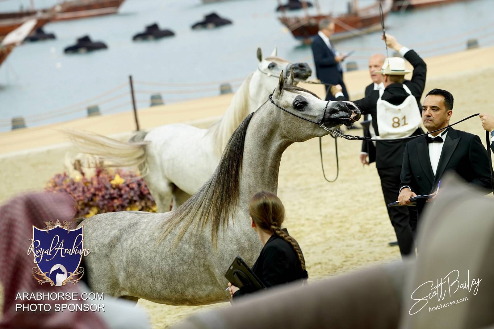 2024 KATARA SHOW - CHAMPIONSHIPS!