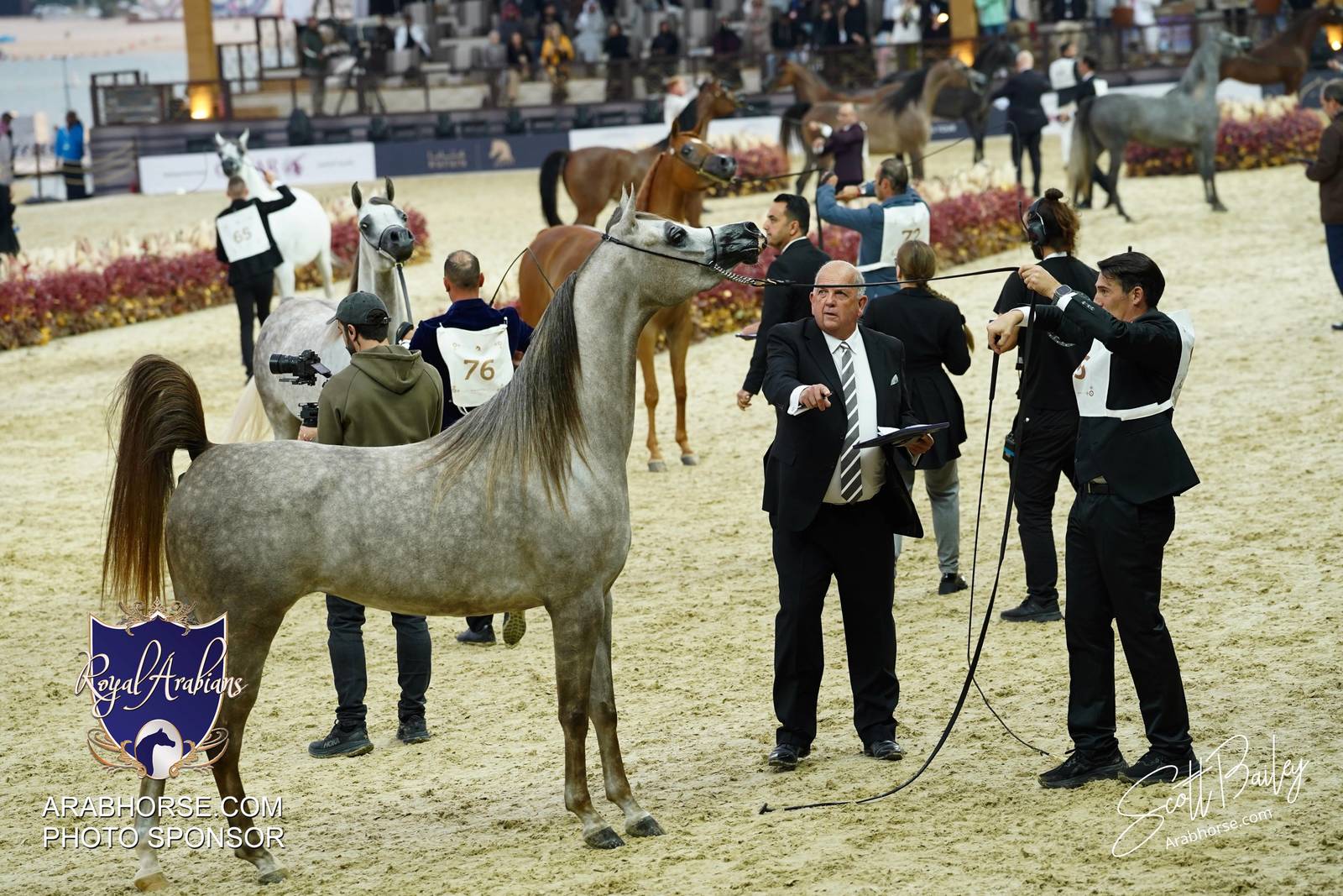 2024 KATARA SHOW - CHAMPIONSHIPS!