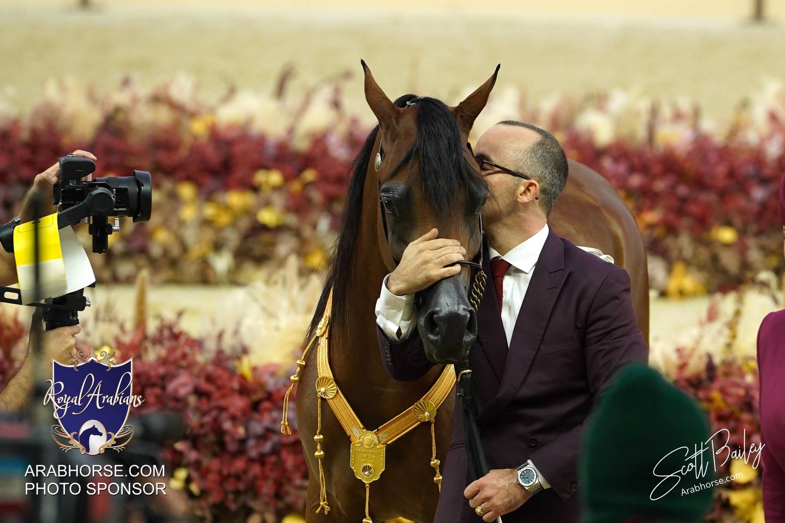 2024 KATARA SHOW - CHAMPIONSHIPS!