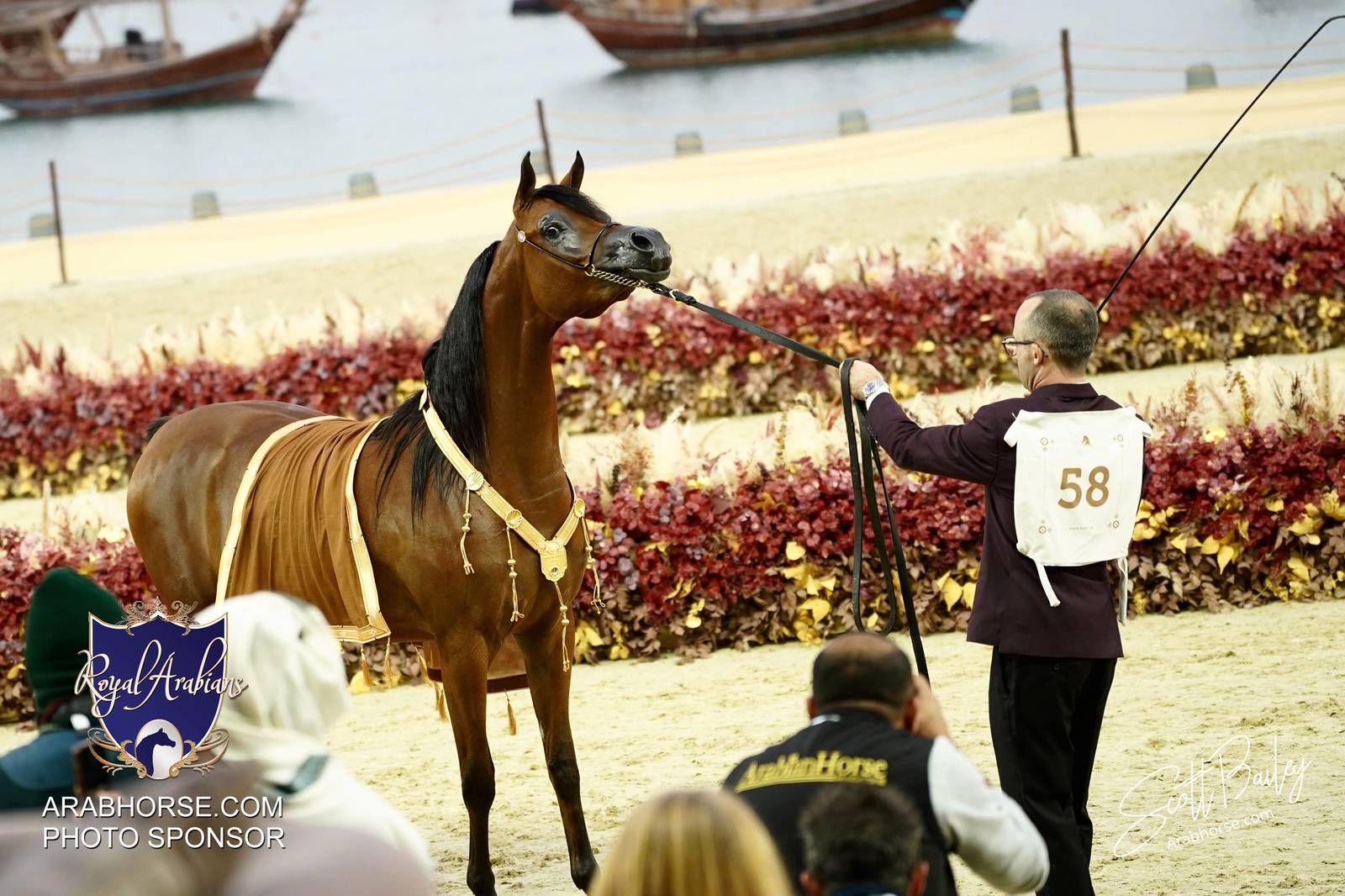 2024 KATARA SHOW - CHAMPIONSHIPS!